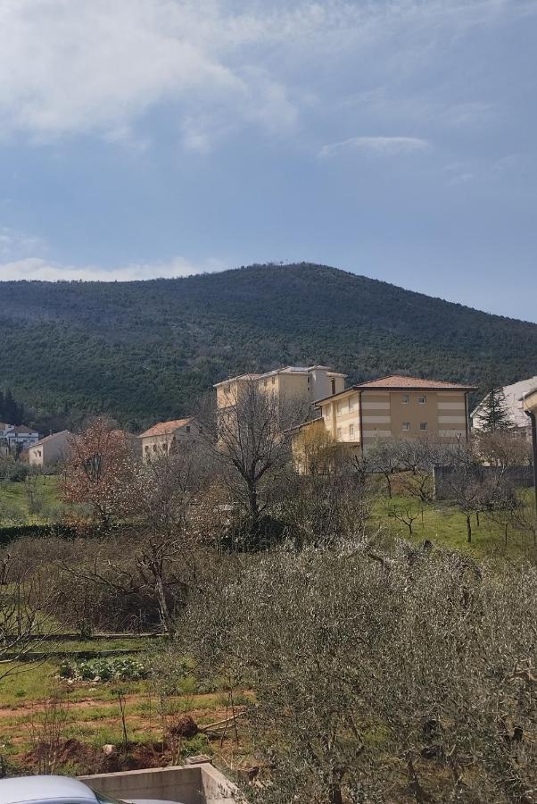 Pansion Danijel Hotel Međugorje Стая снимка